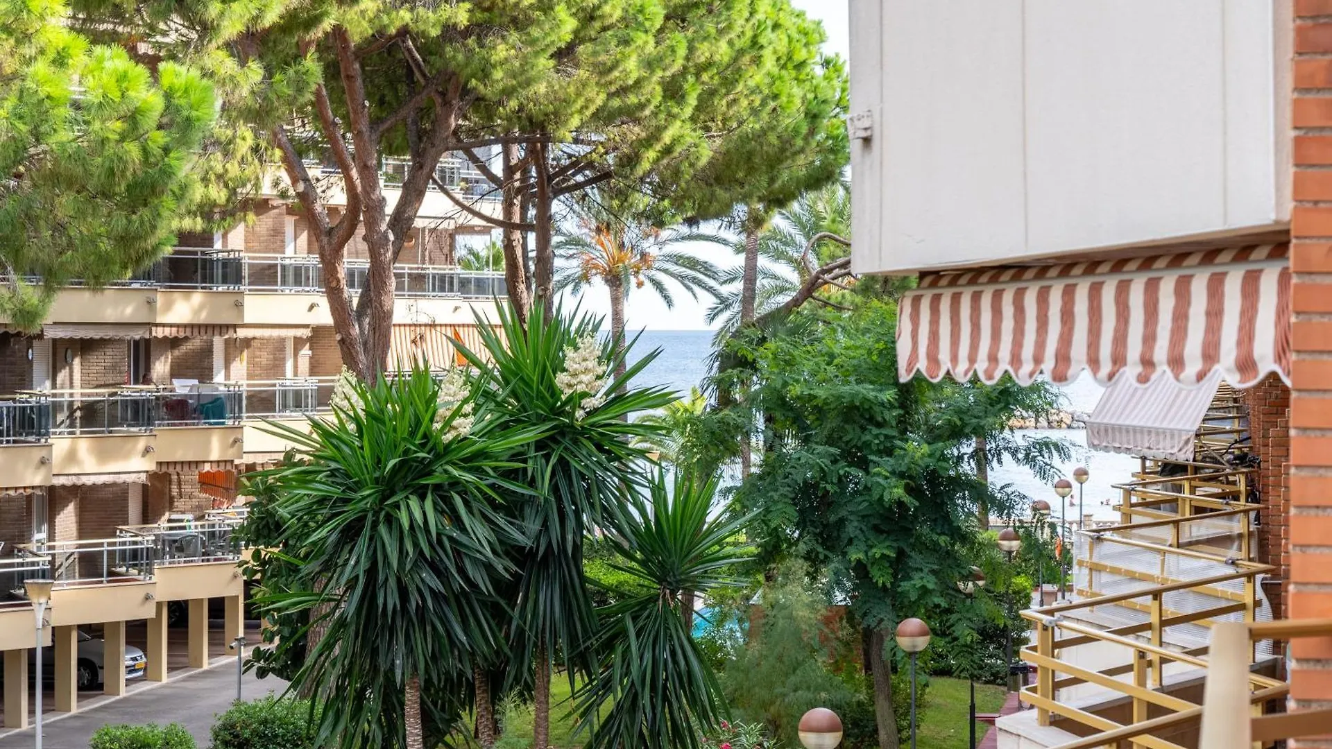 Apartment Apartamento Carmen Cambrils Spain